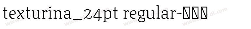 texturina_24pt regular字体转换 texturina_24pt regular字体转换